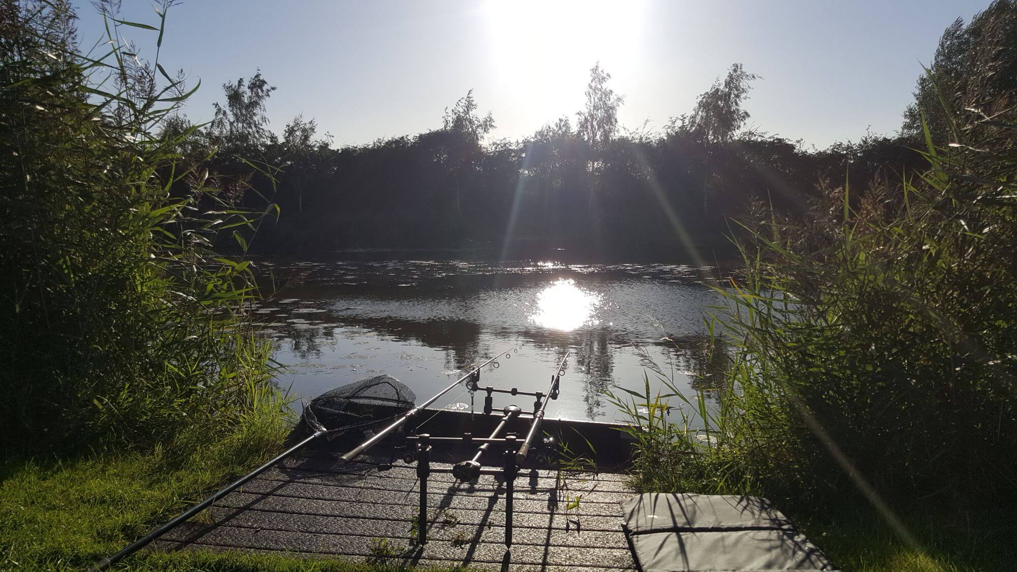 Peg 52 20 August 2020